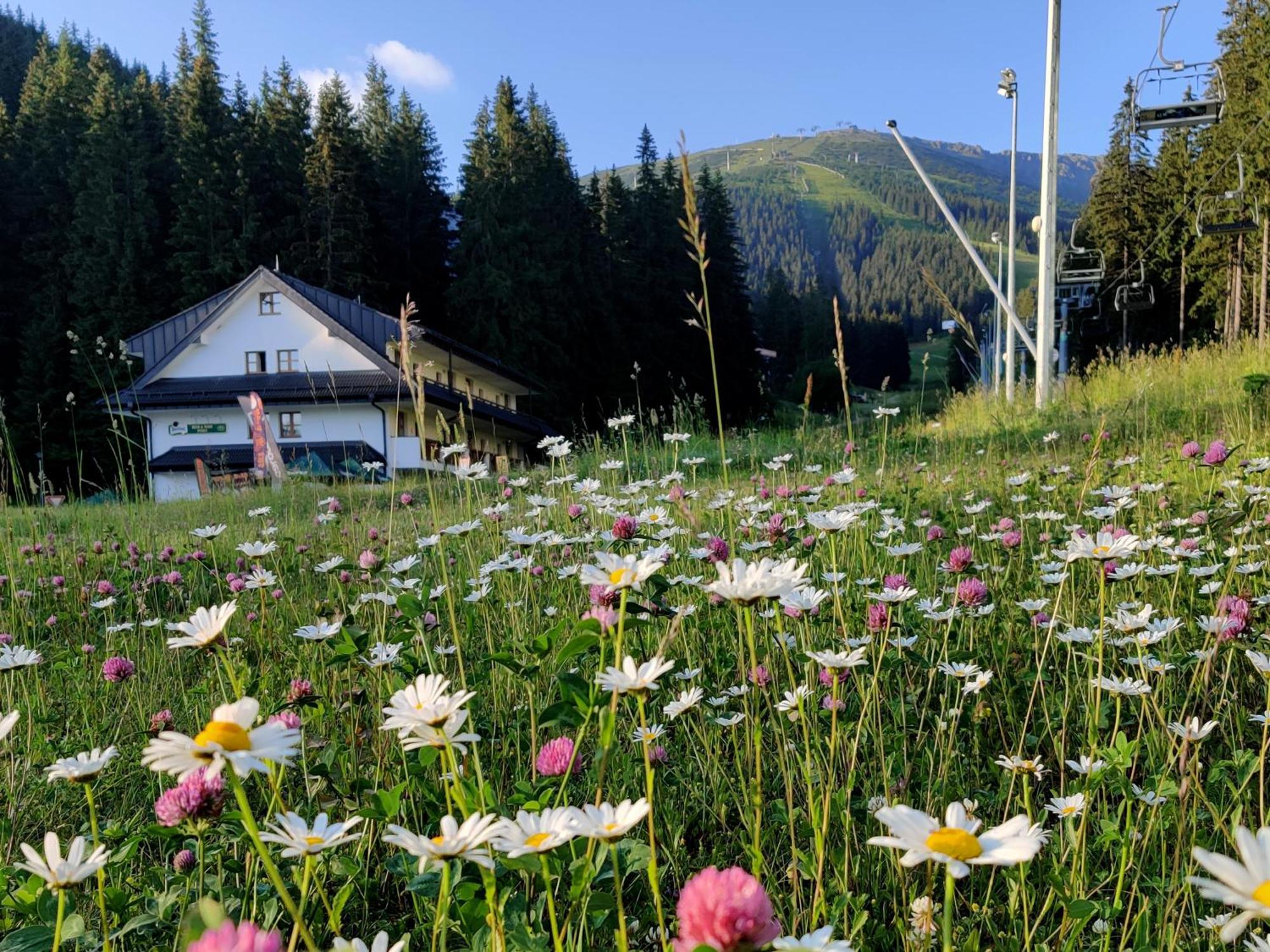 Apartmany Biela Put - Jasna Nr. 12 Demänovská Dolina Esterno foto